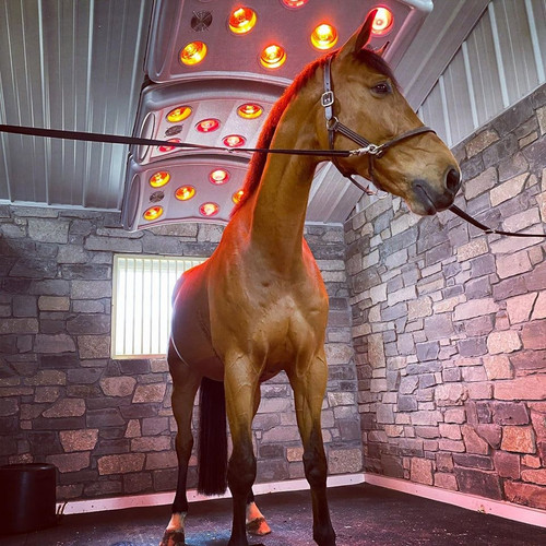 Equinavia Cool Relief Therapy - Envolturas Para Piernas De H | Meses