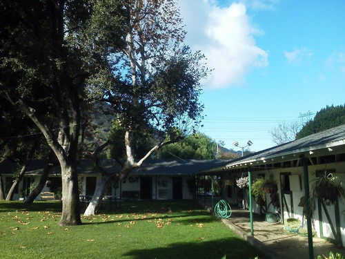 paddock12.jpg