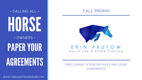 FALL PROMO(2).png