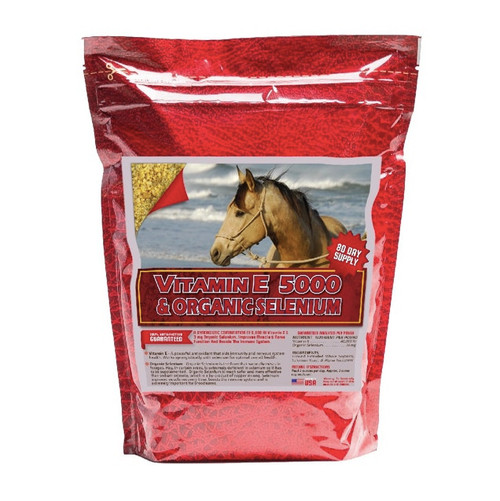 Screen Shot 2021-03-02 at 10.02.29 AM.png