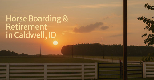 Screenshot 2025-09-23 at 2.55.06 PM.png