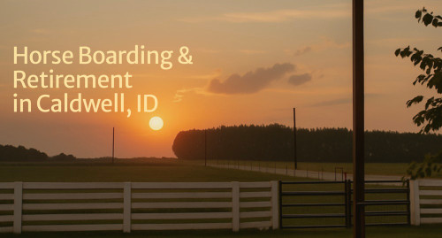 Screenshot 2025-09-23 at 3.15.42 PM.png