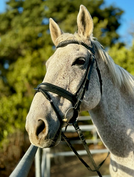 Screenshot 2025-12-15 at 10.24.48 AM.png