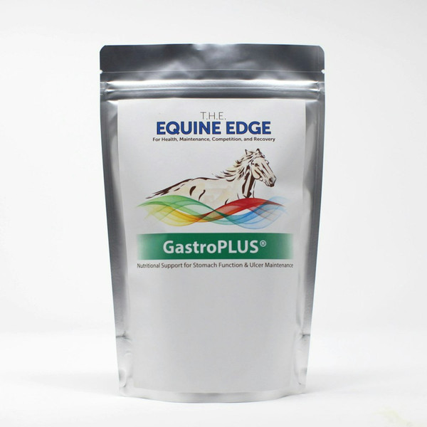 GastroPLUS front.jpg