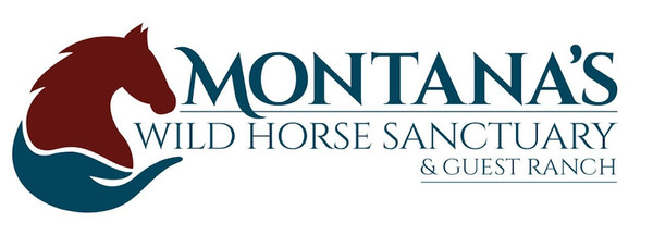 thumbnail_MT HORSE SANCTUARY (1).jpg