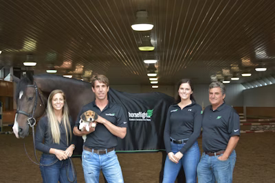 What You Need To Know When Importing A Horse