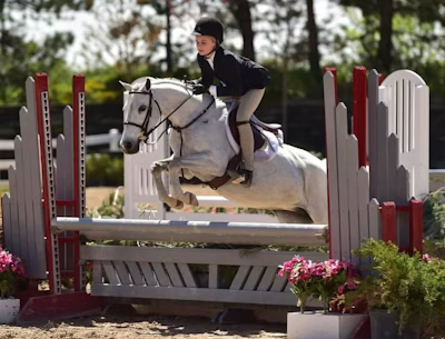 What Should You Be Looking For In A Pony?