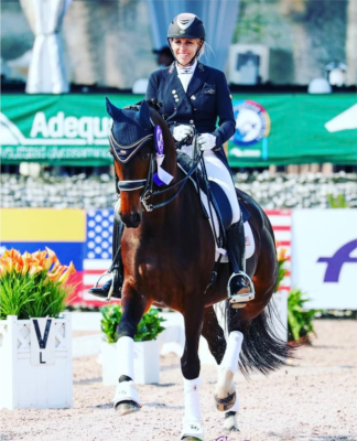 Discovering Elegance: Sale Horses with Heidi Dressage LLC in Florida