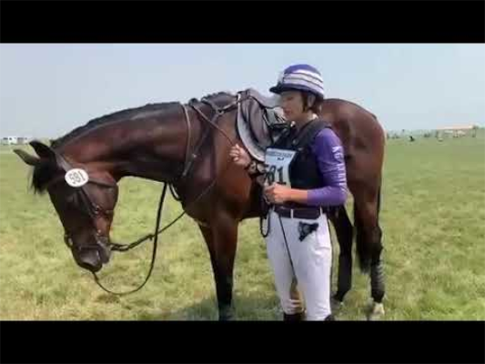 Pure Harmony Equine: Outrageous Eventing Reins