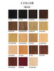 Hair Extensions color chart