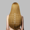 P8922 Basic Extra Large Mono Top Remy Human Hair Topper