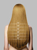 Easy Part 3518BSC I Parting Line Hair Loss Clip in Lady's Topper