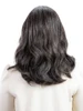 G30 Salt and Pepper Grey Hair Color