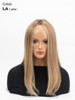 Jane20-Premium Hair Women's Long Hair Wig