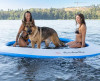 women and dog on 10ft Splash Island Thumbnail Image