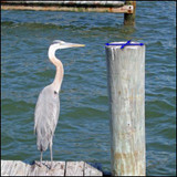 How to Properly Measure Pilings for Pile Caps: A Complete Guide