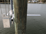 Tide Tamer Aluminum Tide Guide w/ 90 Degree Arm