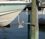 Tide Tamer Aluminum Tide Guide w/ 90 Degree Arm