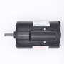 1.5 HP A.O. Smith 56 Frame Replacement Motor Top