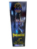 5 Inch Fantastical Canister Shells 24ct