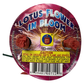 Lotus Flower in Bloom