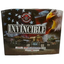 Invincible 198s
