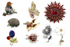 25  Brooches Gorgeous !! Over 100 Different Styles 