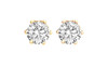 50 pair Cubic Zirconia Earrings in Beautiful Gift Box- 2 Carat T.W. Choice  of Gold or Silver 