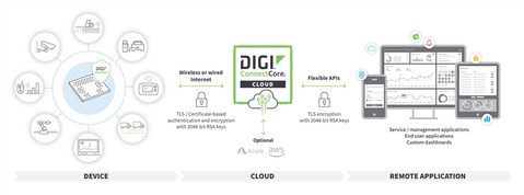 Digi CC-CS-ESS-100-1YR