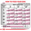 Royal Canin Veterinary Diet Canine Renal Wet Dog Food Cans - 12 x 410g
