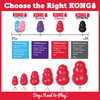 Choose the right KONG