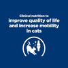 Hill's Prescription Diet k/d Kidney Care + Mobility Joint Care Dry Cat Food