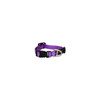 Rogz Classic Collar Purple