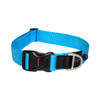 Rogz Classic Collar Turquoise