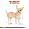Royal Canin Chihuahua Adult Dry Dog Food - Breed