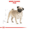 Royal Canin Pug Adult Dry Dog Food - Breed