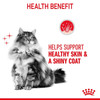 Royal Canin Hair And Skin Jelly Wet Cat Food - 12 x 85g Pouches