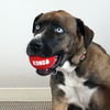 KONG Signature Sport Balls Dog Toys