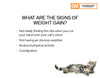 Pro Plan Veterinary Diets OM Overweight Management Wet Cat Food (24 x 156g cans)