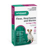 Aristopet Topical Flea & Worm Spot Treatment For Dogs 4-10kg