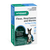 Aristopet Topical Flea & Worm Spot Treatment For Dogs 10-25kg