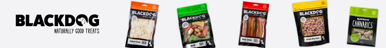 Blackdog