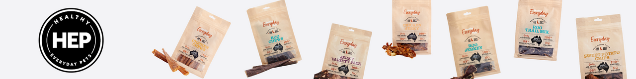 Healthy Everyday Pets