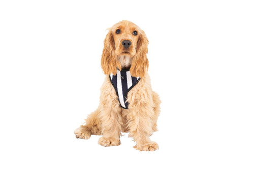 Mog & Bone Dog Harness - Navy Hamptons Stripe Print - Extra Large