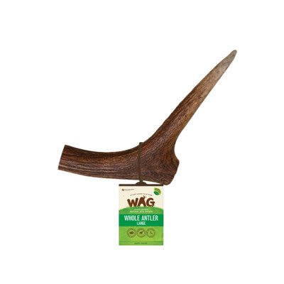 WAG Deer Antler Whole Dog Treat