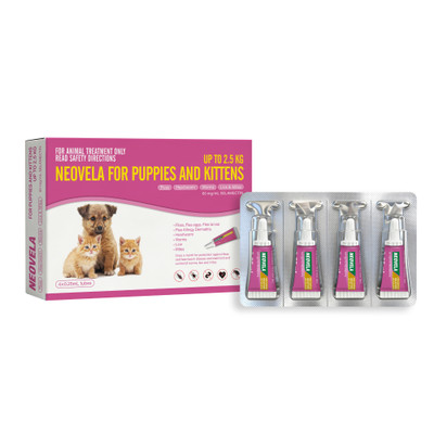 Neovela Flea And Worming for Puppies & Kittens - Up to 2.5kg (4 Pack) - Front Packaging