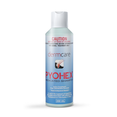 Pyohex Medicated Shampoo For Dogs