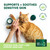 Natural Animal Solutions NAS Dermal Cream (60g)