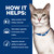 Hill's Prescription Diet k/d Kidney Care Chicken Wet Cat Food - How it Helps