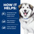 Hill's Prescription Diet c/d Multicare Urinary Care + Metabolic Weight Canine Dry Dog Food - How it Helps